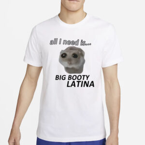 All I Need Is Big Booty Latina T-Shirt2