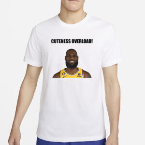 3Dlegacydesigns Lebron Cuteness Overload T-Shirt2