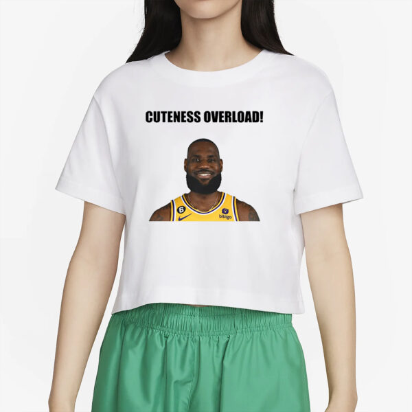 3Dlegacydesigns Lebron Cuteness Overload T-Shirt35