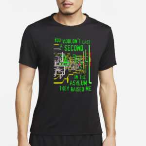 You Wouldn't Last A Second In The Asylum They Raised Me T-Shirt4