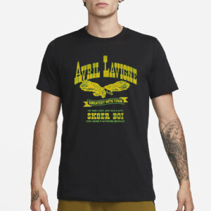 Avril Lavigne Greatest Hits Tour Sk8er Boi T-Shirt3