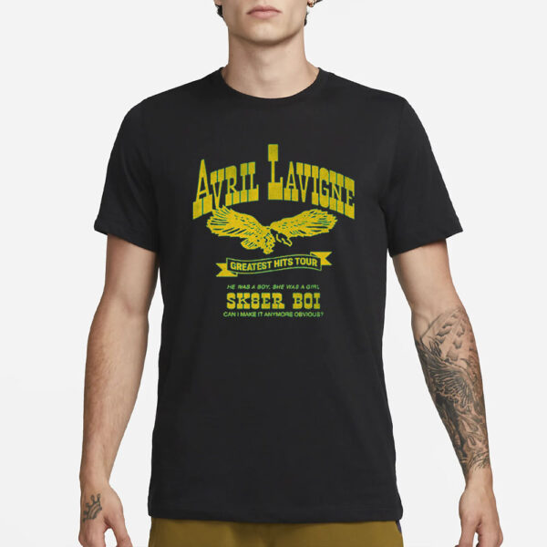 Avril Lavigne Greatest Hits Tour Sk8er Boi T-Shirt3