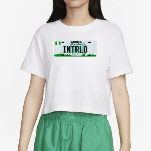 Abuja Centre Of Unity Intrld Federal Republic Of Nigeria T-Shirt2